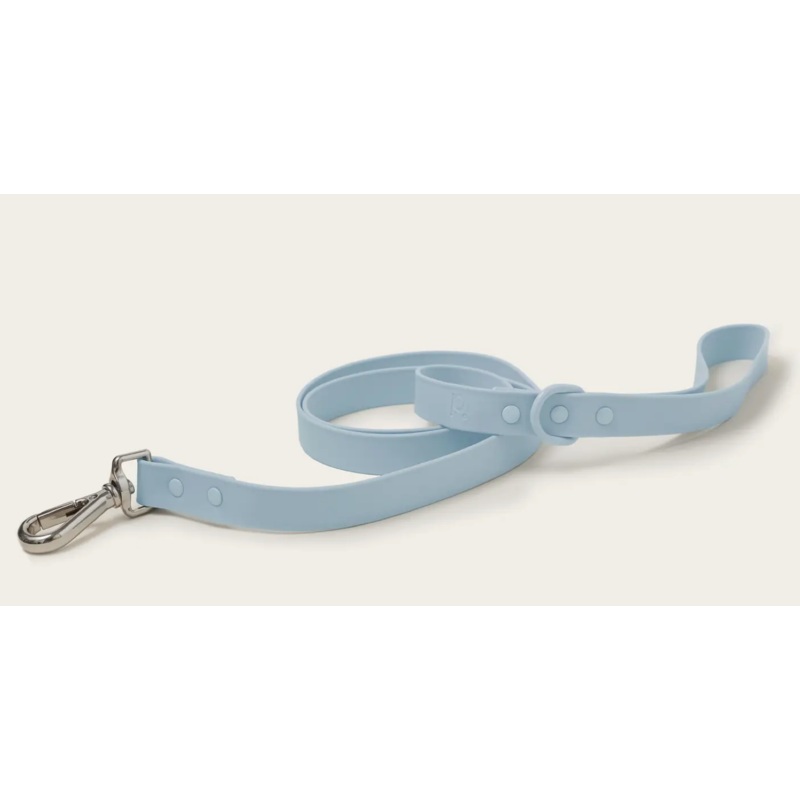 Peachy Dogs Classic 2.0 Leash -