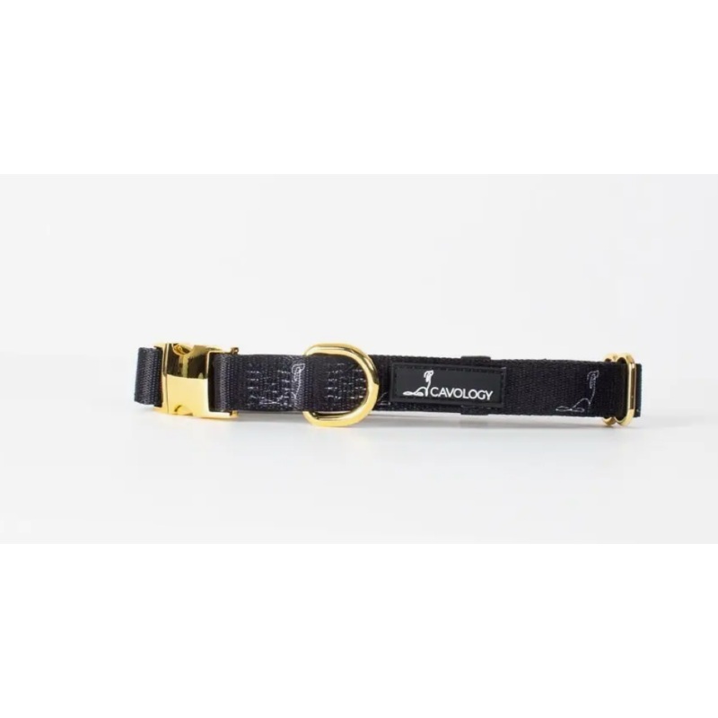 Cavology Dog Collar -