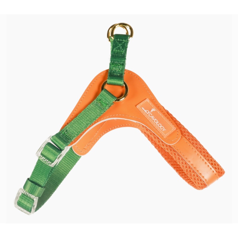 Cavology Step-In Mesh Dog Harness