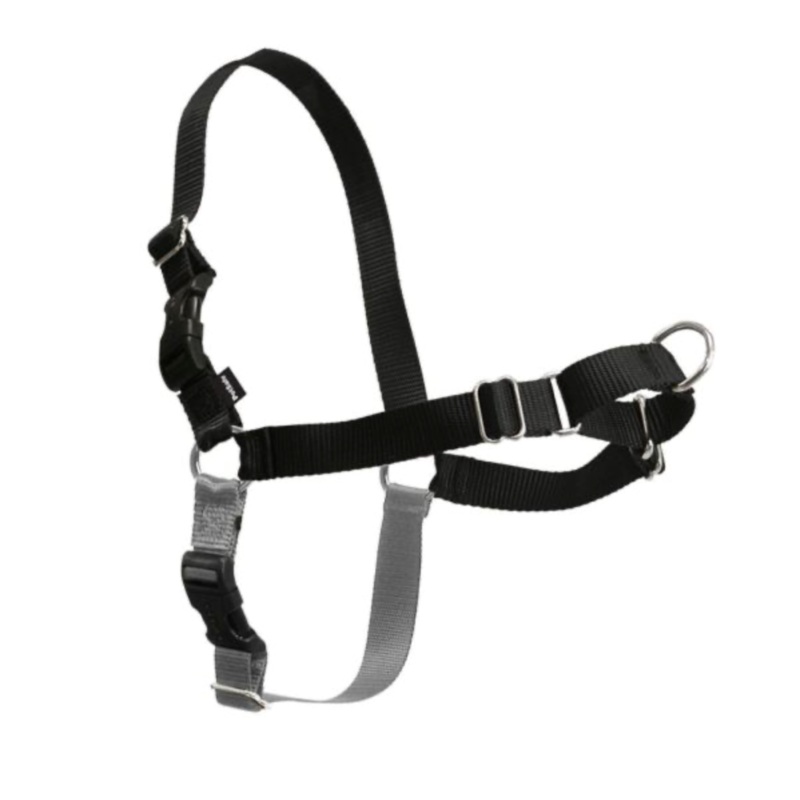 Premier Easy Walk Harness - Black (S / 15"-20")