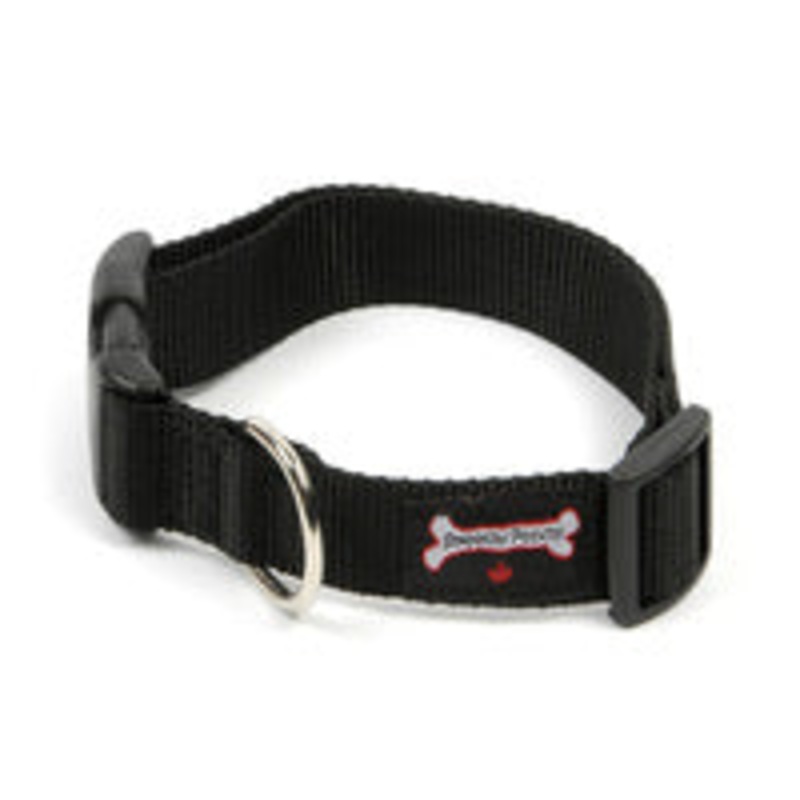 Smoochy Poochy Nylon Quick Release Clip Collar - Various Colours